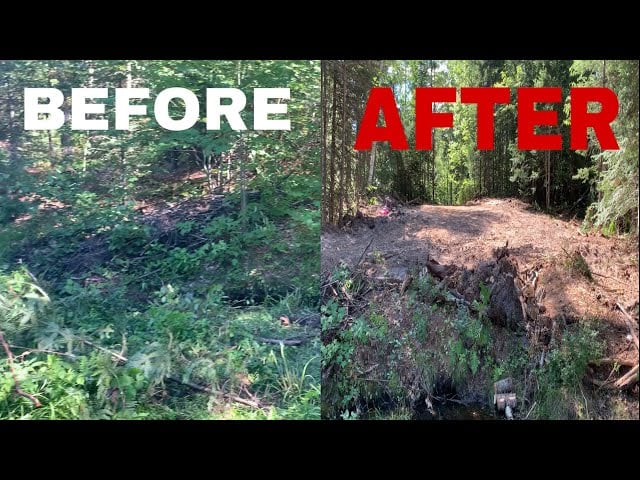 Before: 5-Acre Estate Restoration