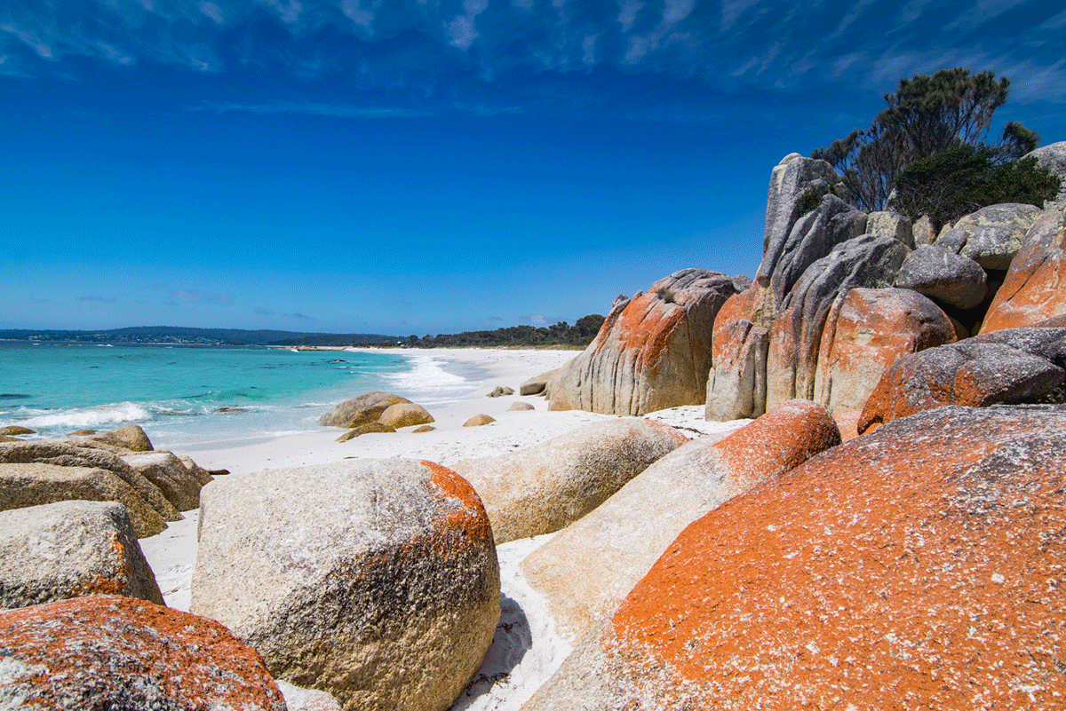 Bay of Fires Coastal Retreat