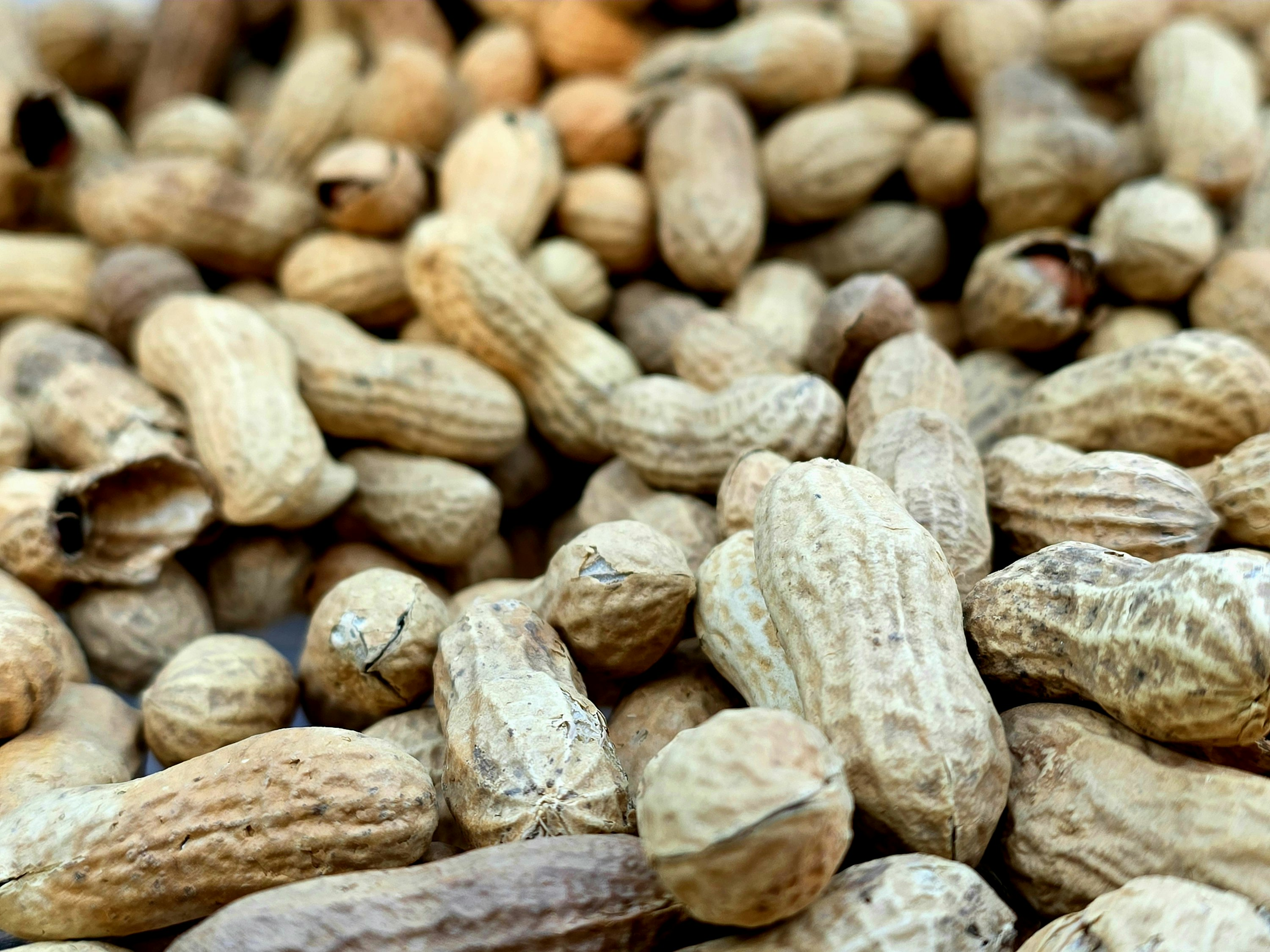 Bulk raw peanuts showing natural texture