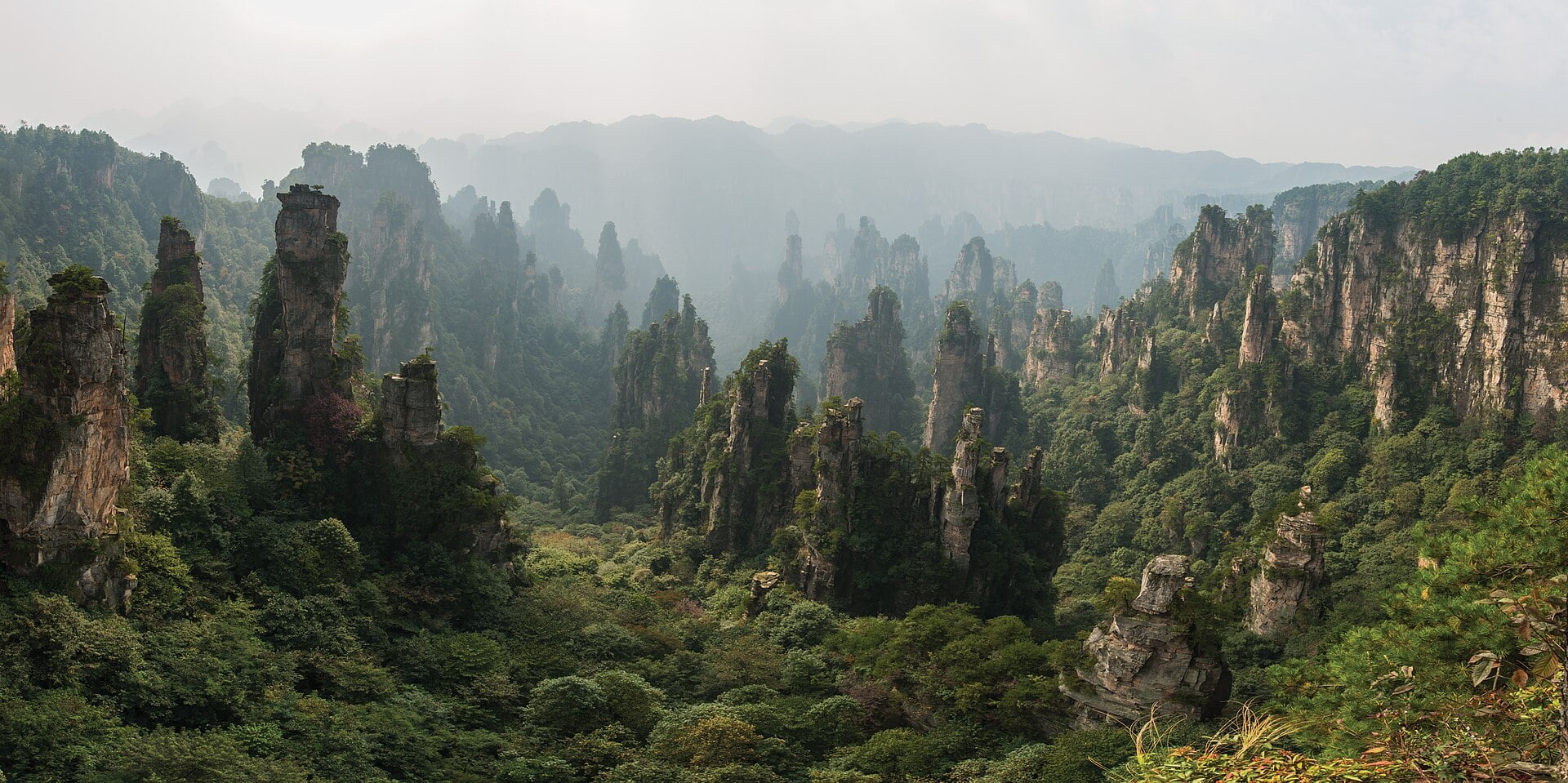 Tall sandstone pillars of Zhangjiajie