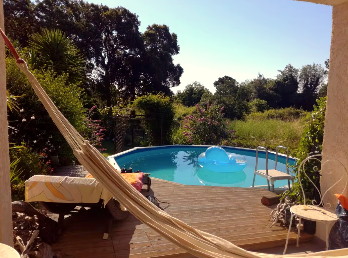 Piscine de la propriété entourée d’une terrasse en bois et de verdure