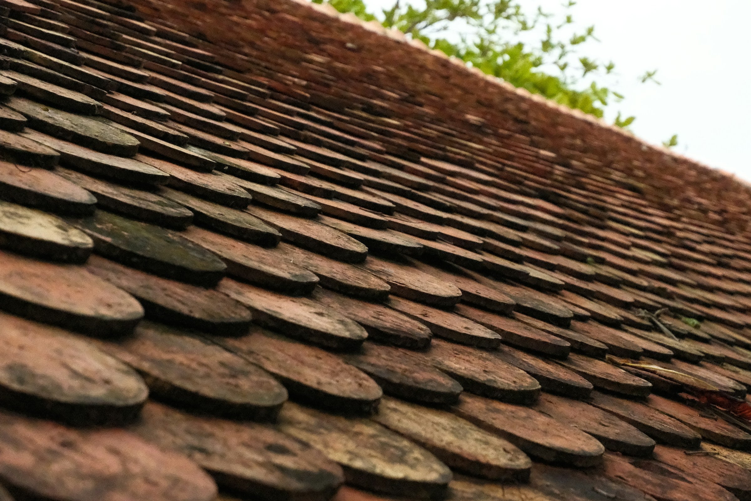 Roof Replacement photo 4