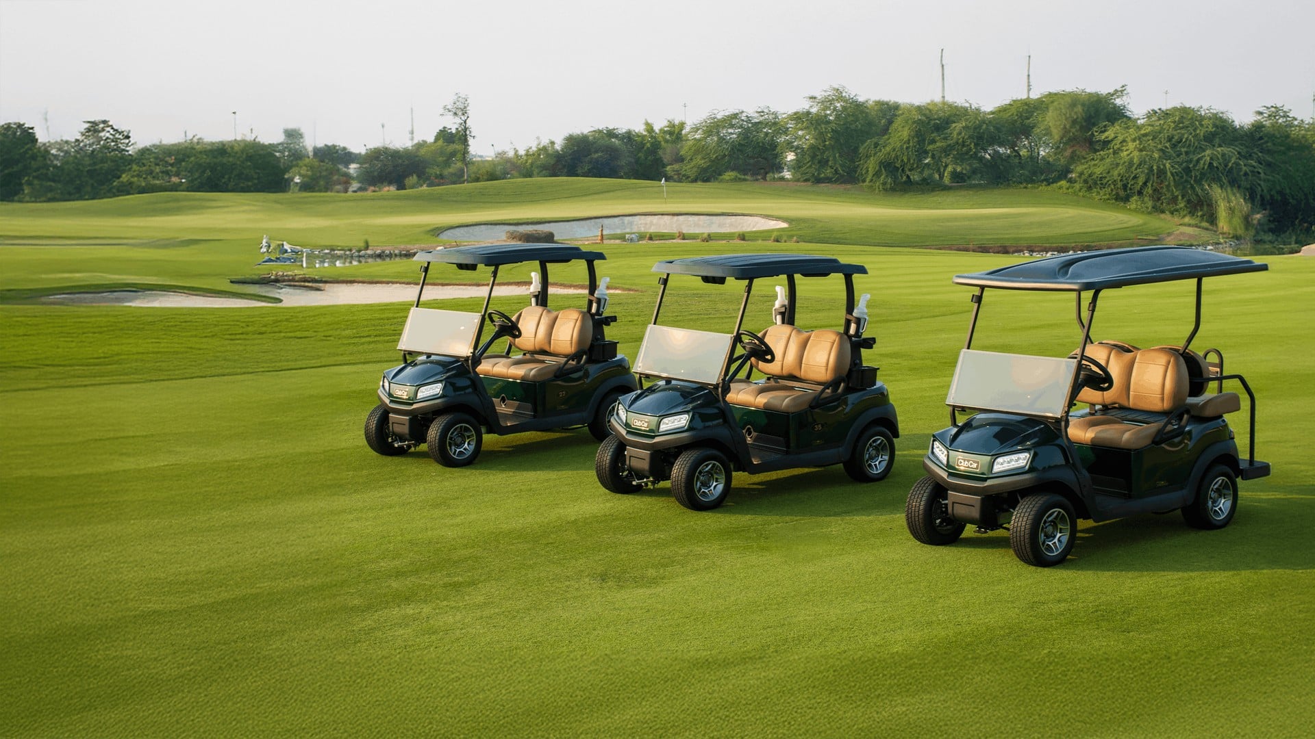 Golf carts on course