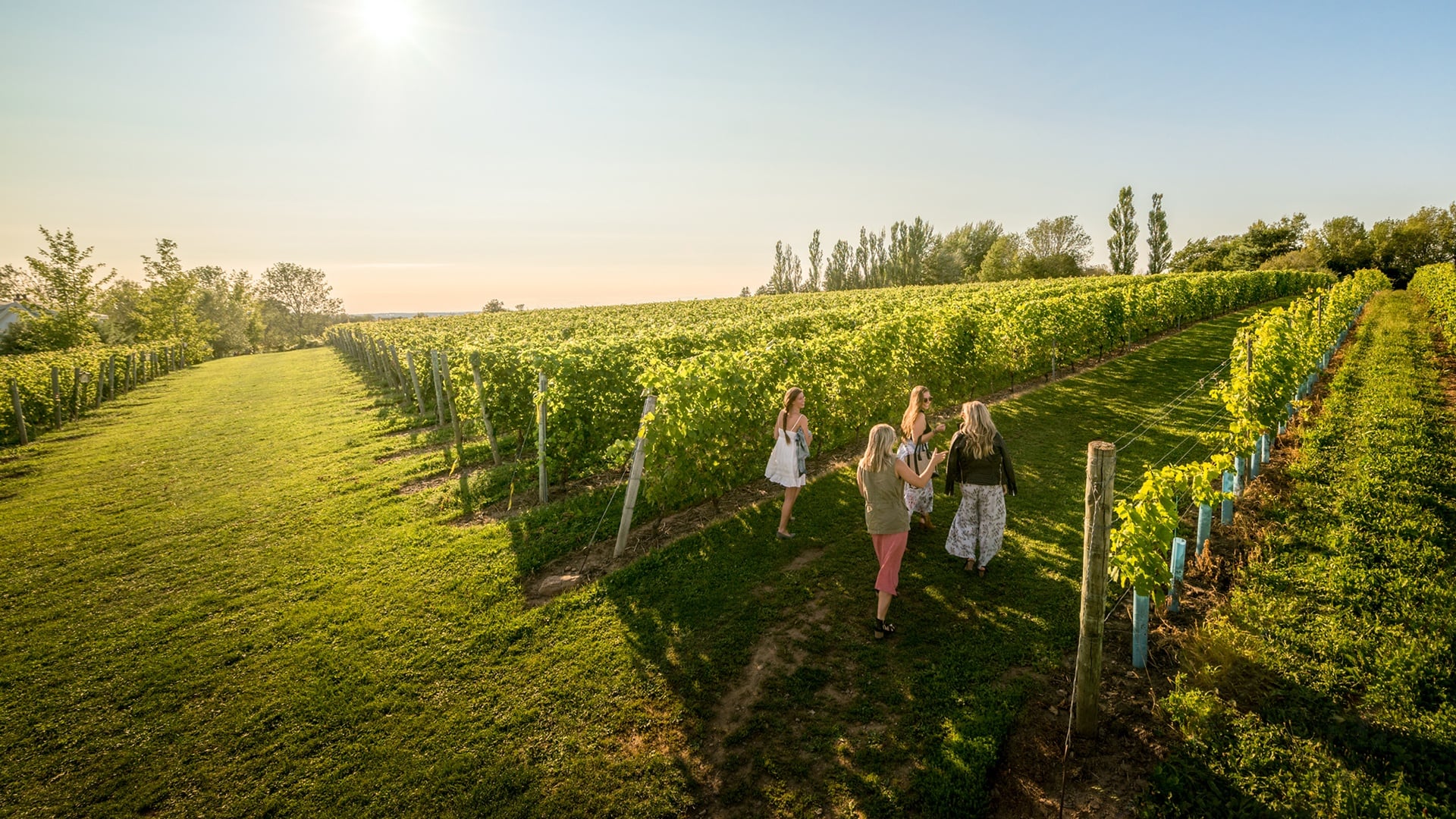 Domaine de Grand Pré