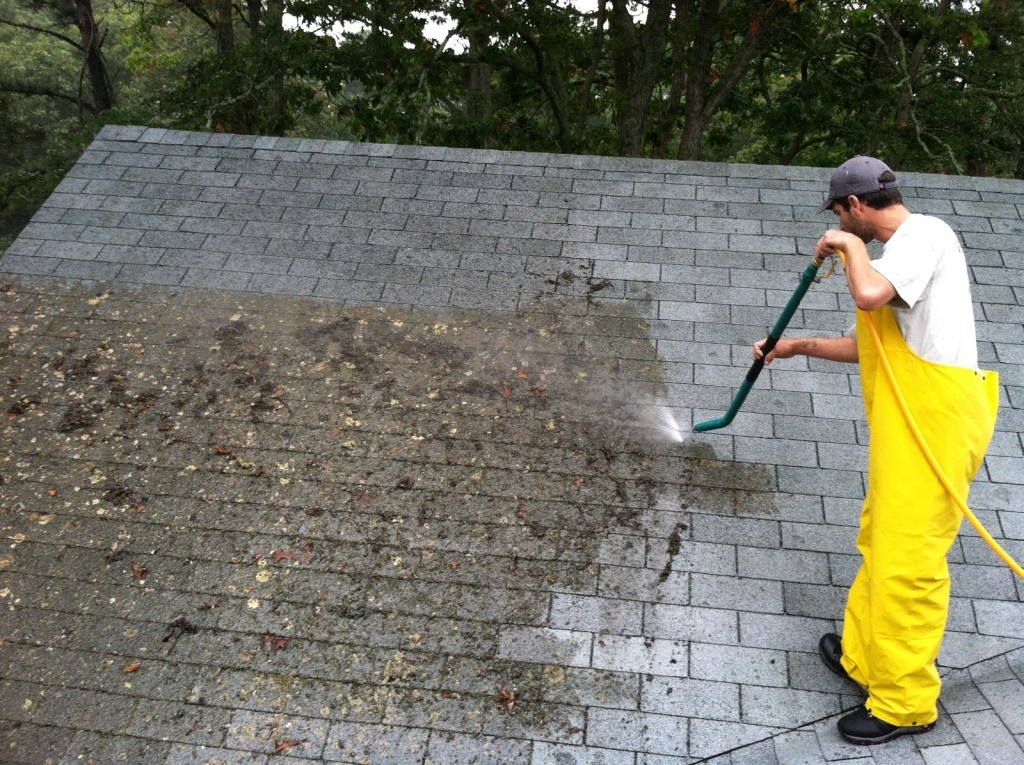 Moss cleaning from roof tiles
