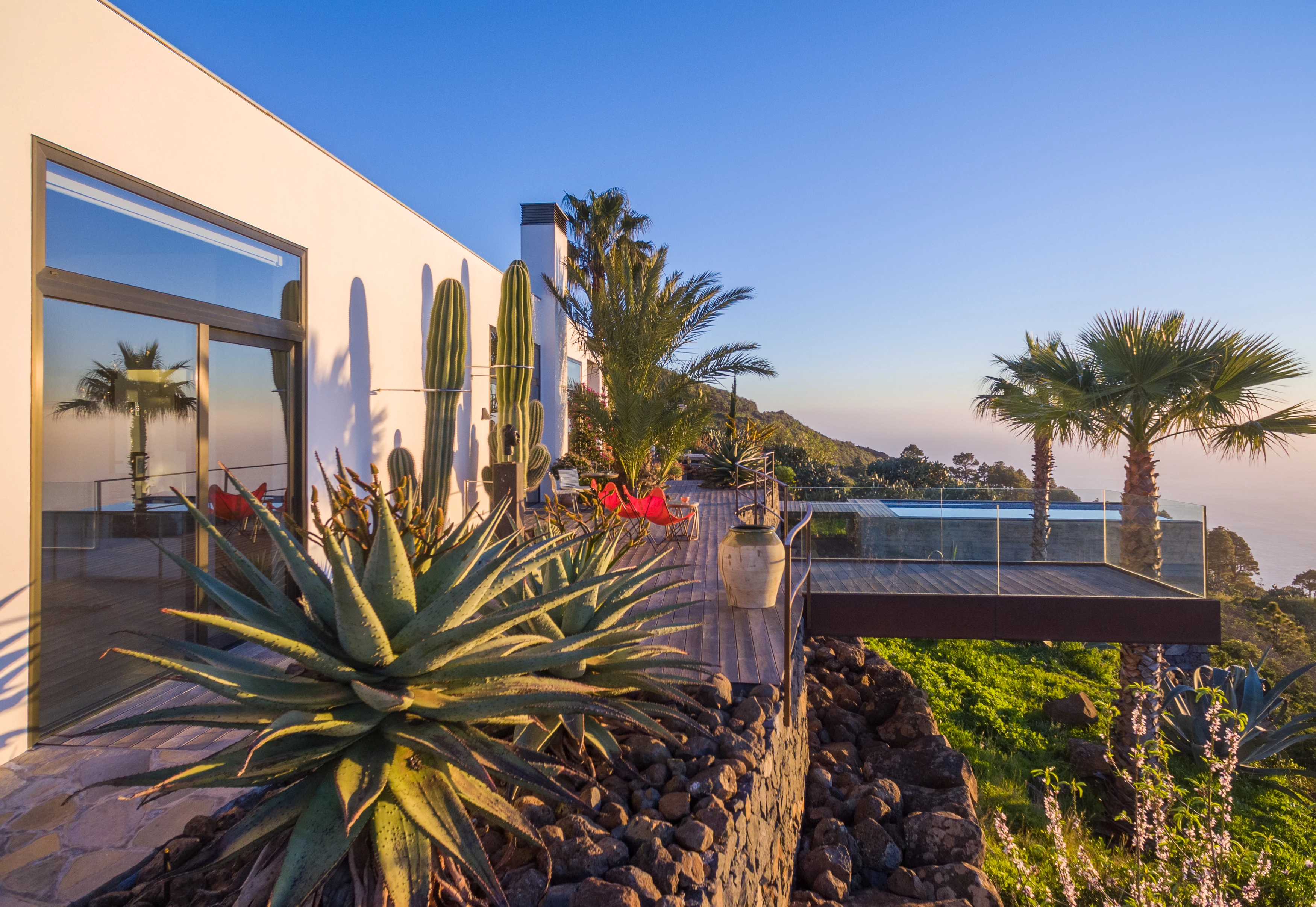 Villa terrace with agave, cacti, palm trees and infinity pool at golden hour