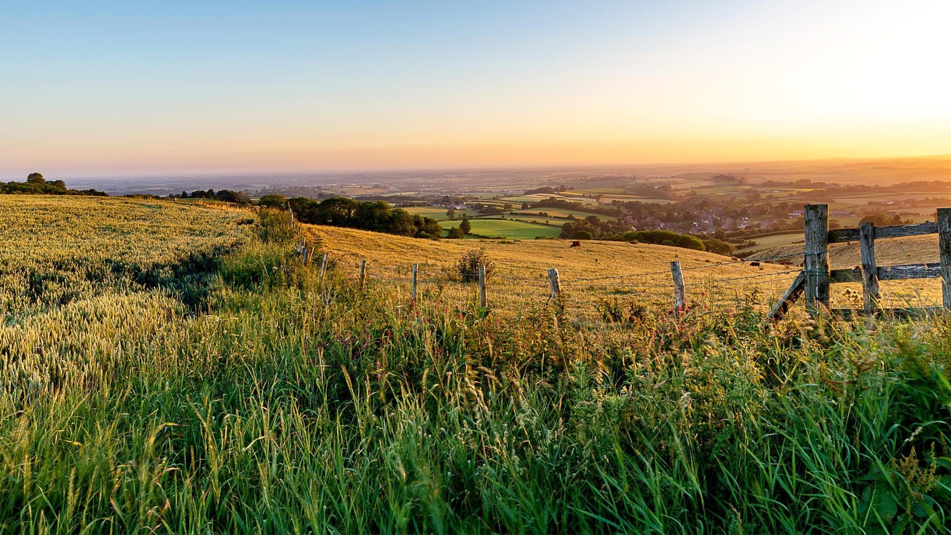 Yorkshire Wolds landscape