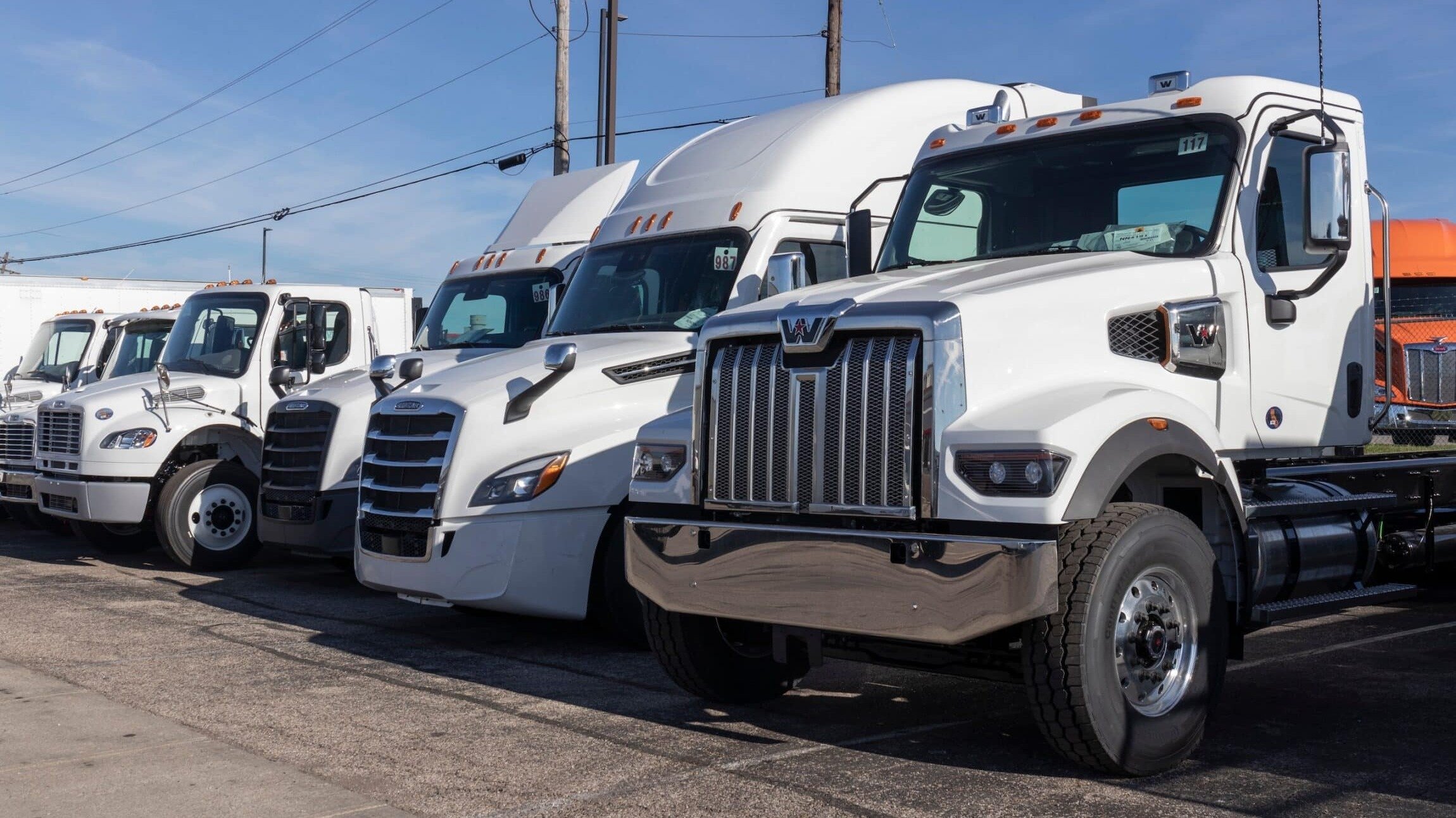 Flota de vehículos con rastreo GPS