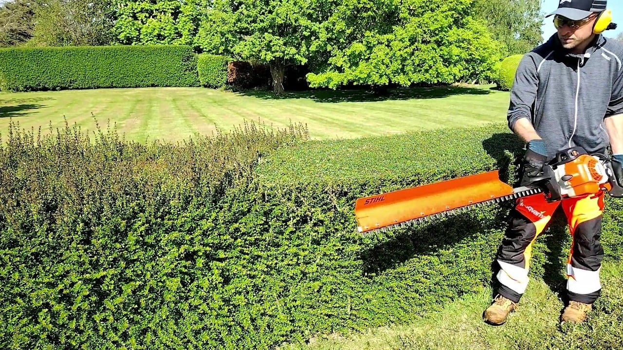 Hedge Trimming