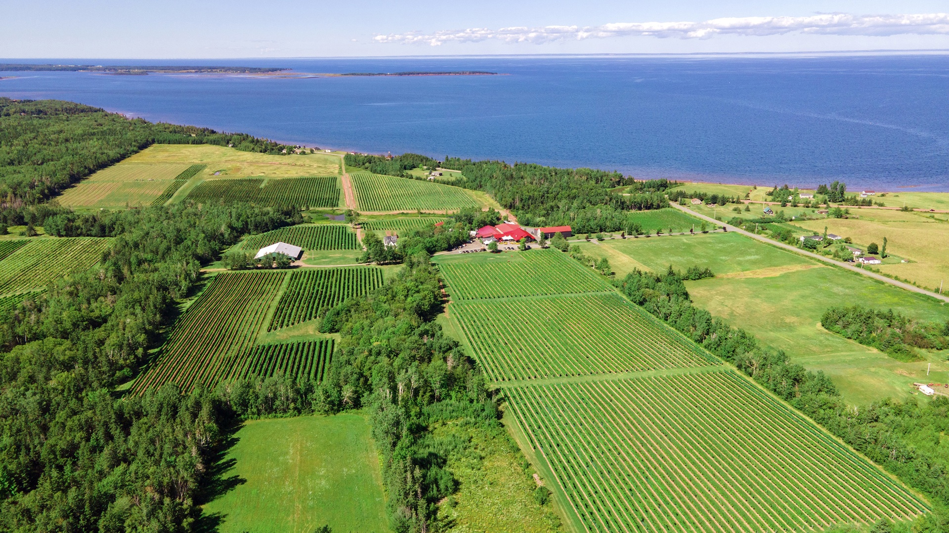 Jost Vineyards
