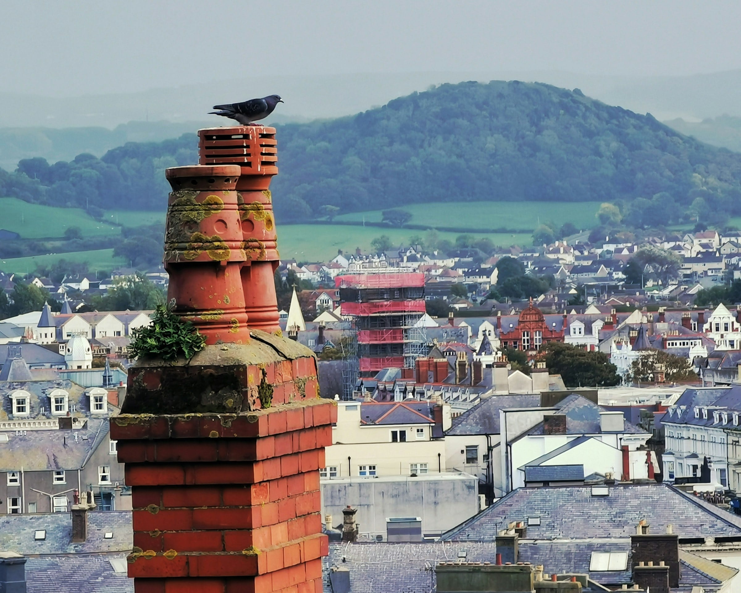Chimney Repairs photo 6
