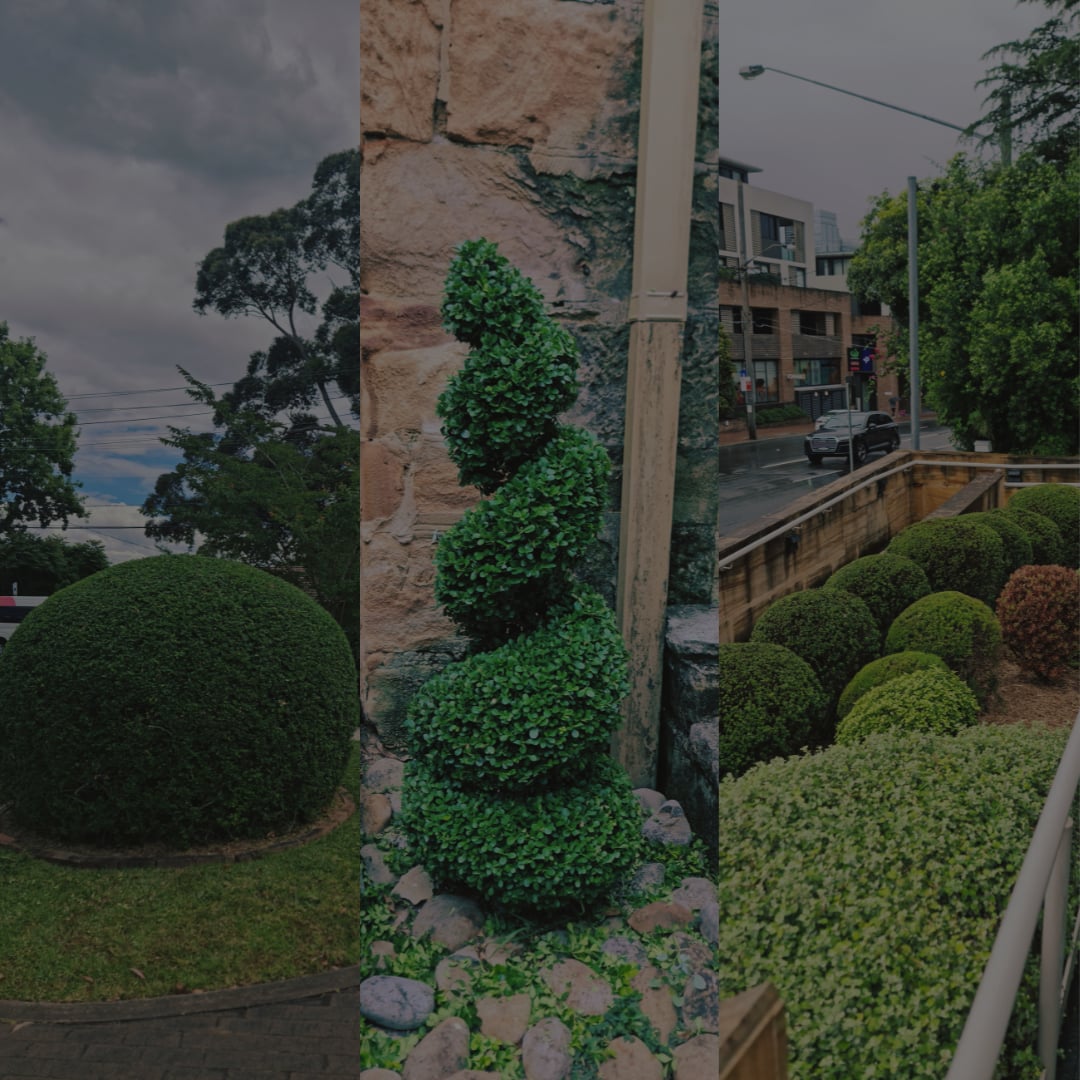 Renovation & Restoration - Working Earth landscaping service