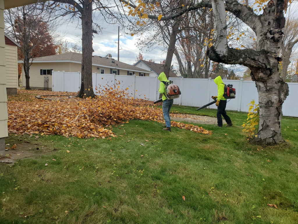 Leaf blowing and yard cleanup service