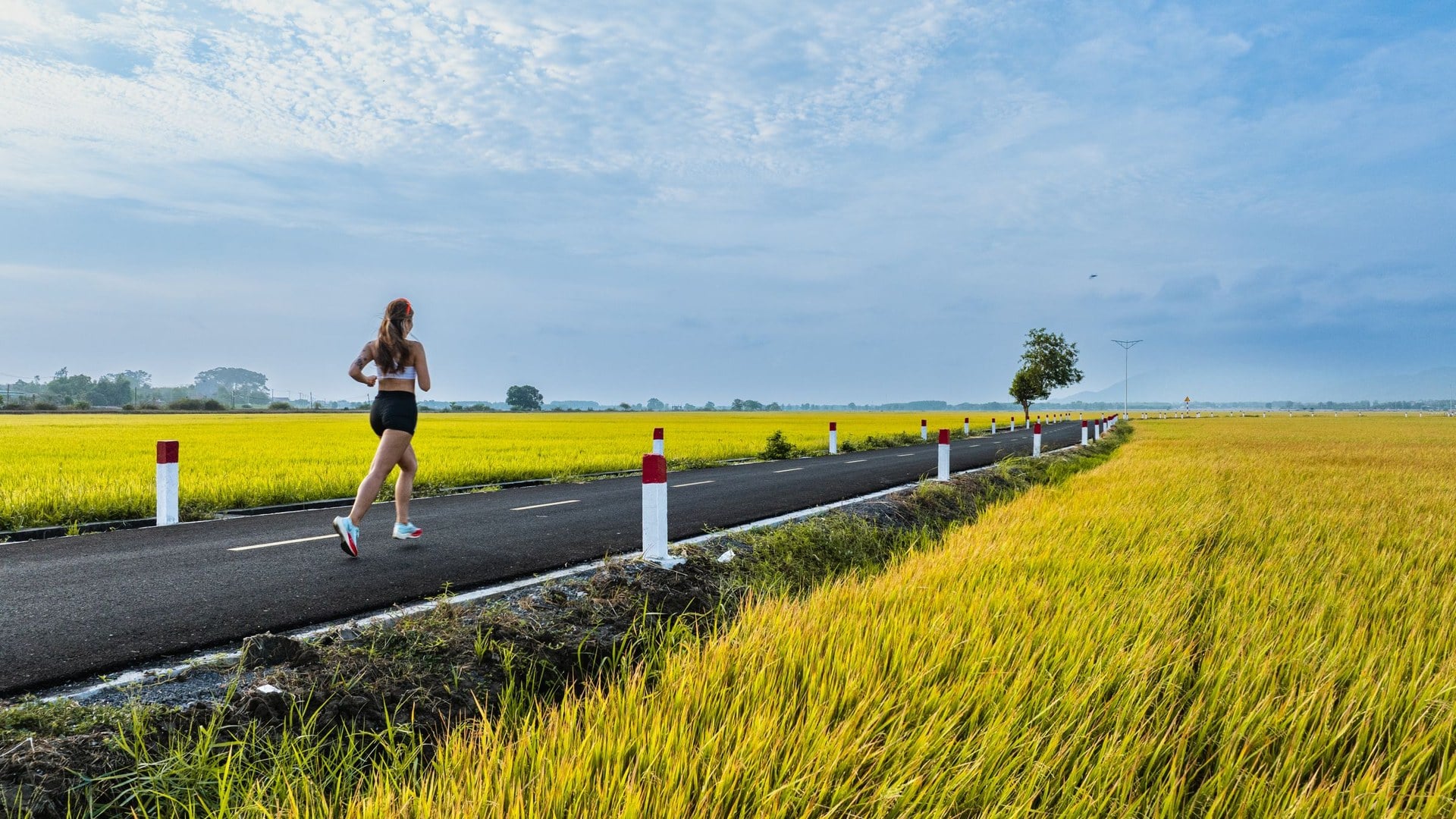 What Is Zone 2 Training and Why Is It Your Longevity Secret?