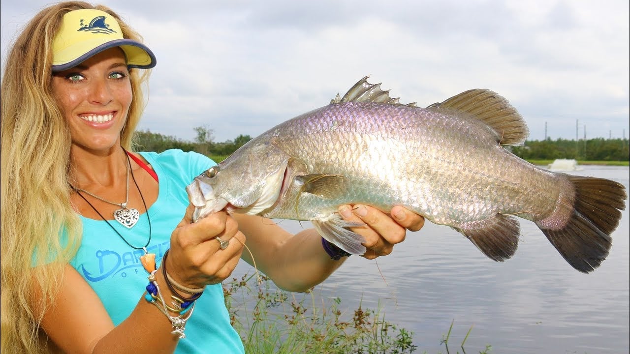 Australian Barramundi Fishing