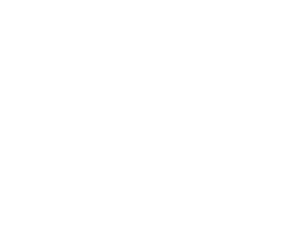 BRICS Contest Logo