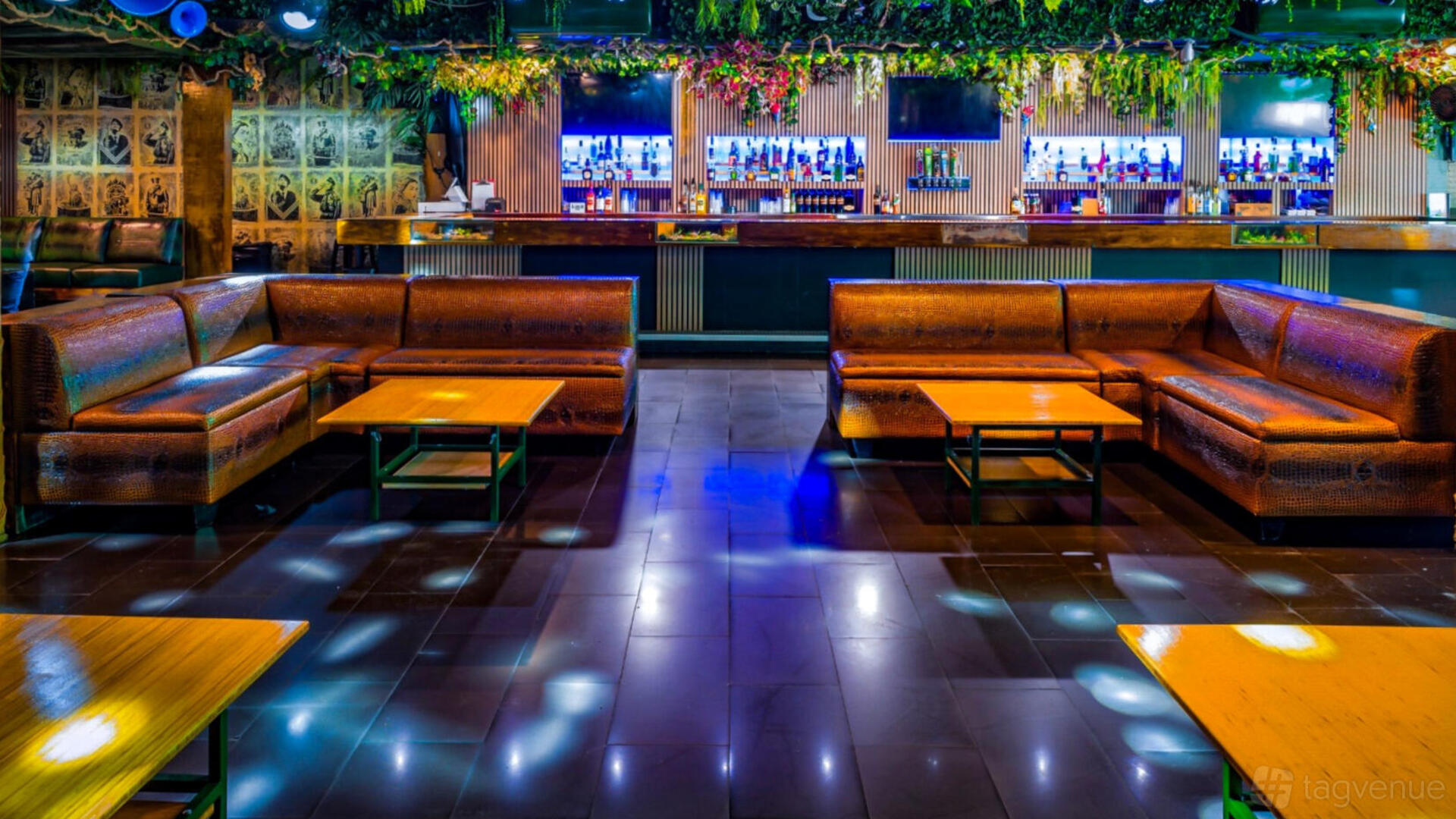 Jungle Hollywood venue interior