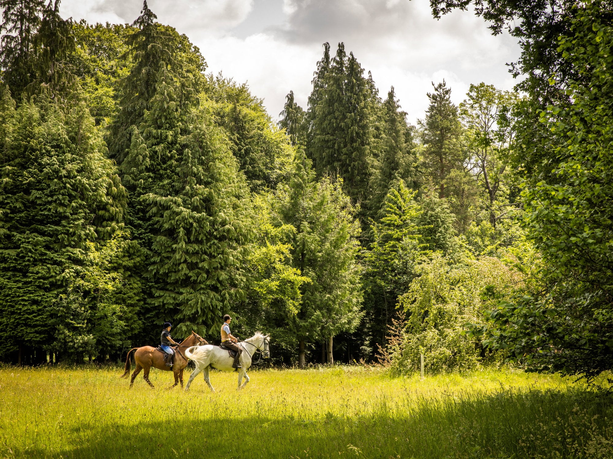 Horse riding through the Cotswolds countryside
