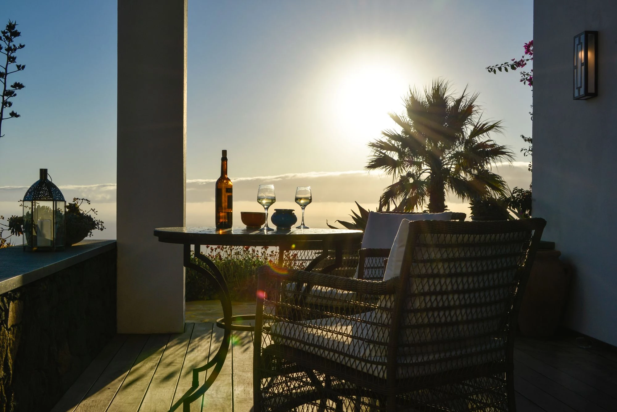 Sunset terrace with palm trees, wine and ocean view