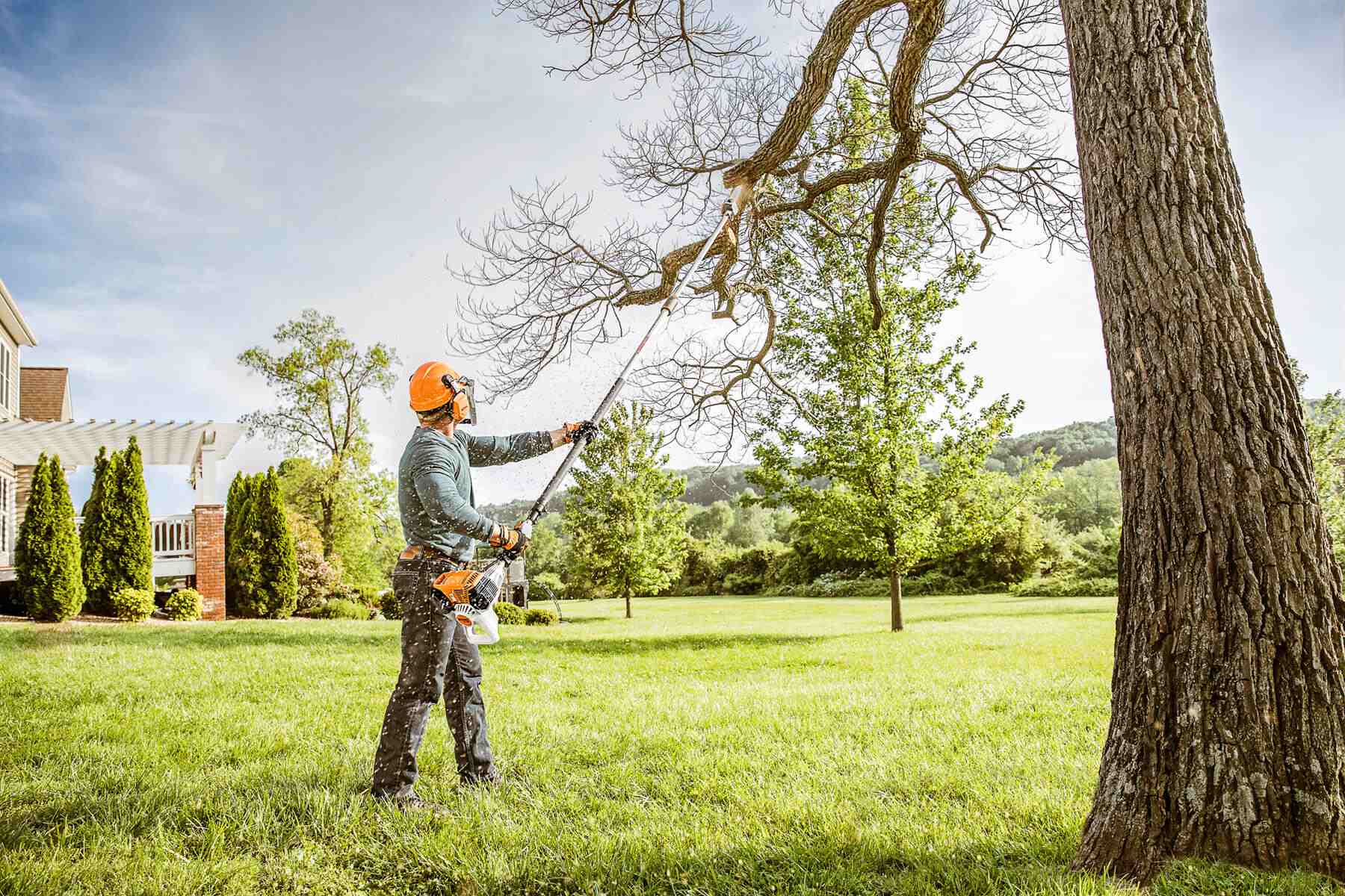 Professional tree trimming and pruning service