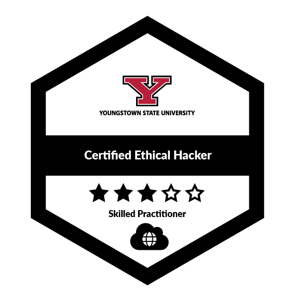 Certified Ethical Hacker (CEH)