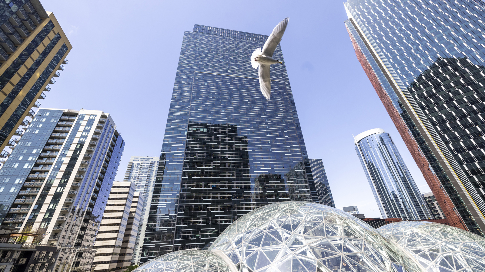 Best Neighborhoods for Amazon Employees in Seattle
