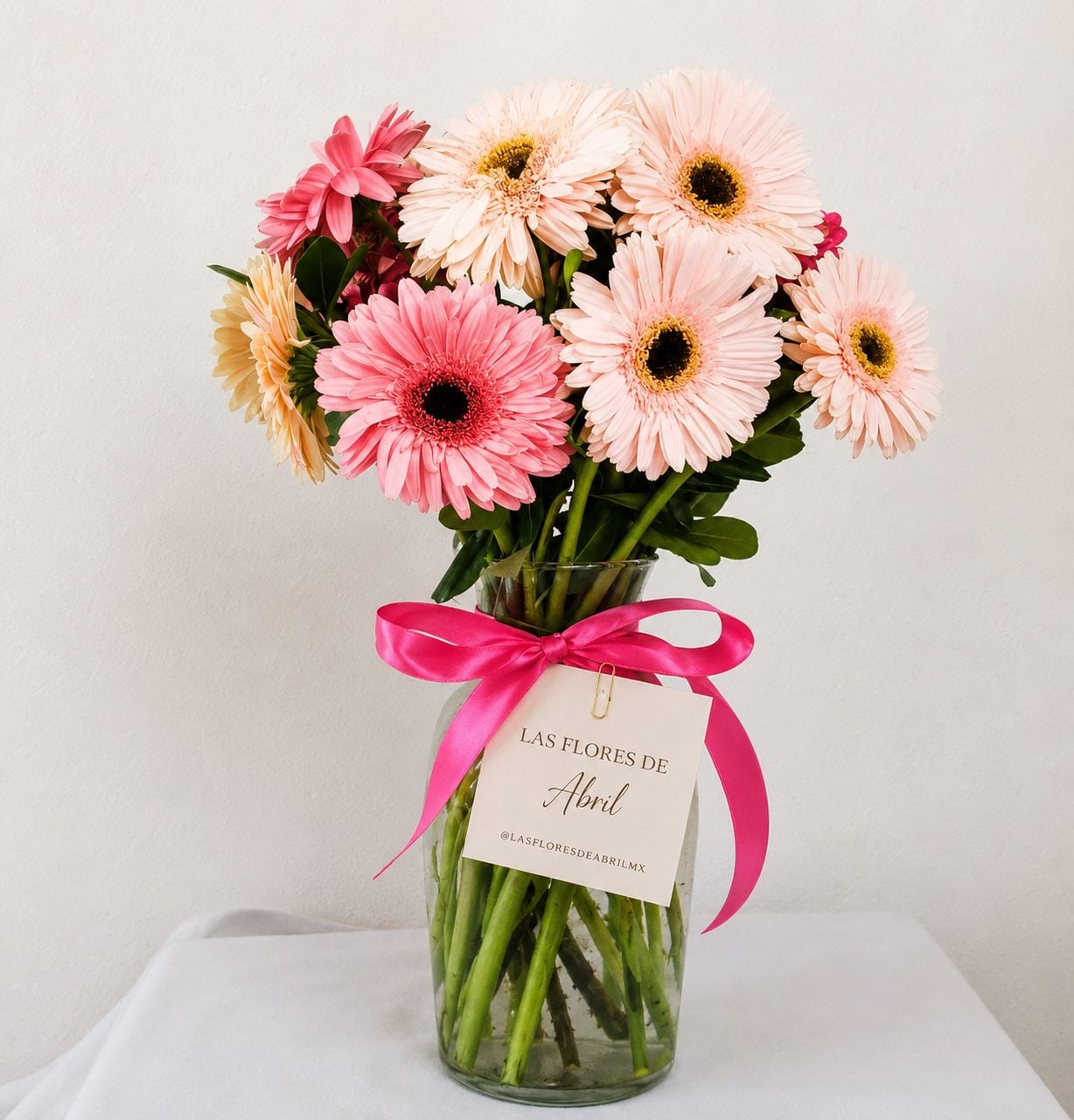 Base Gerberas