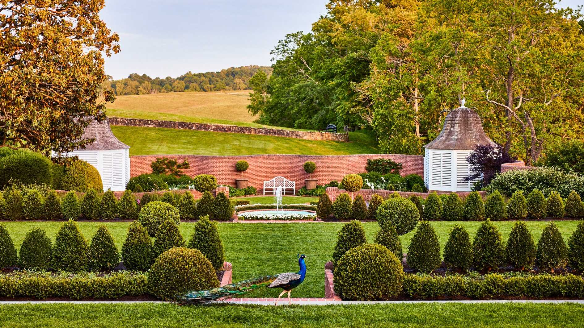 Beautiful professionally landscaped garden with lush green lawn and mature trees