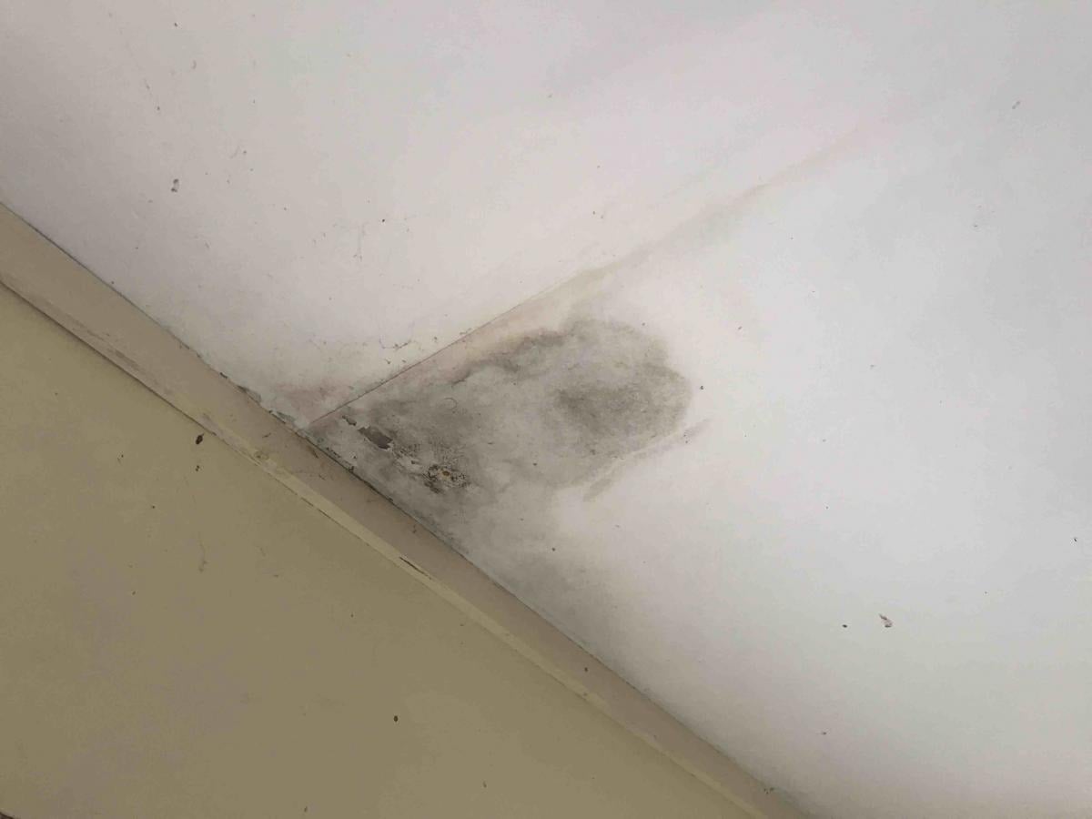 Damp patch on wall from roof leak