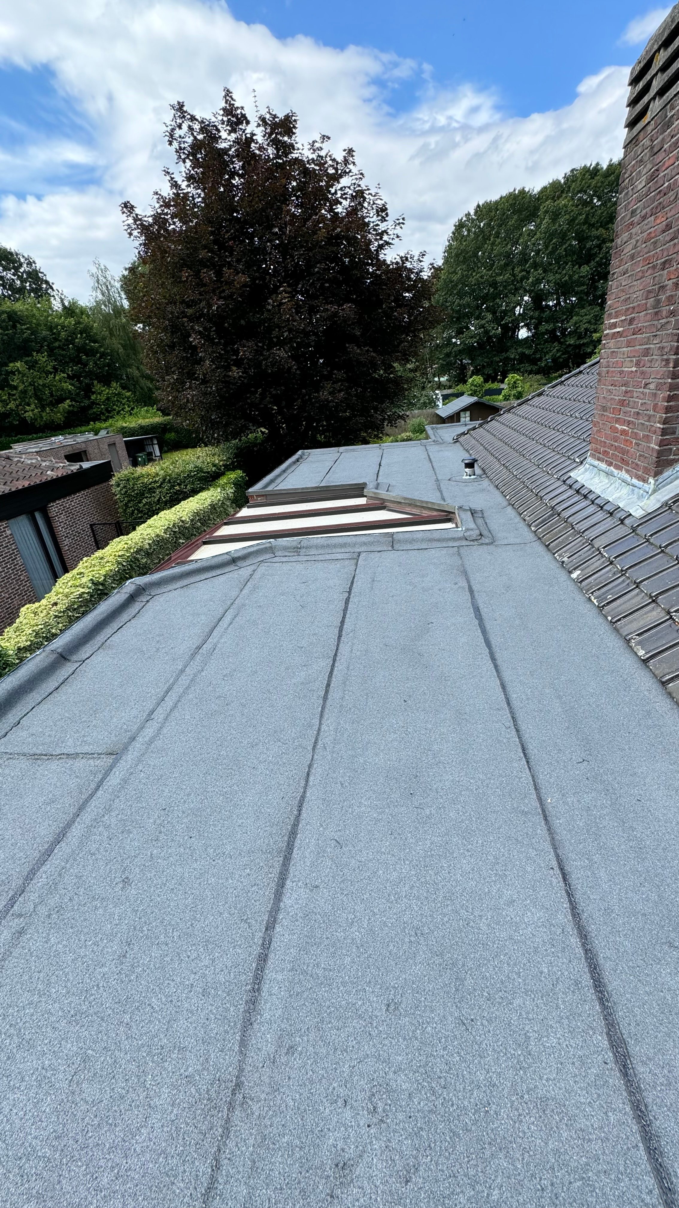 Plat dak met nette roofing