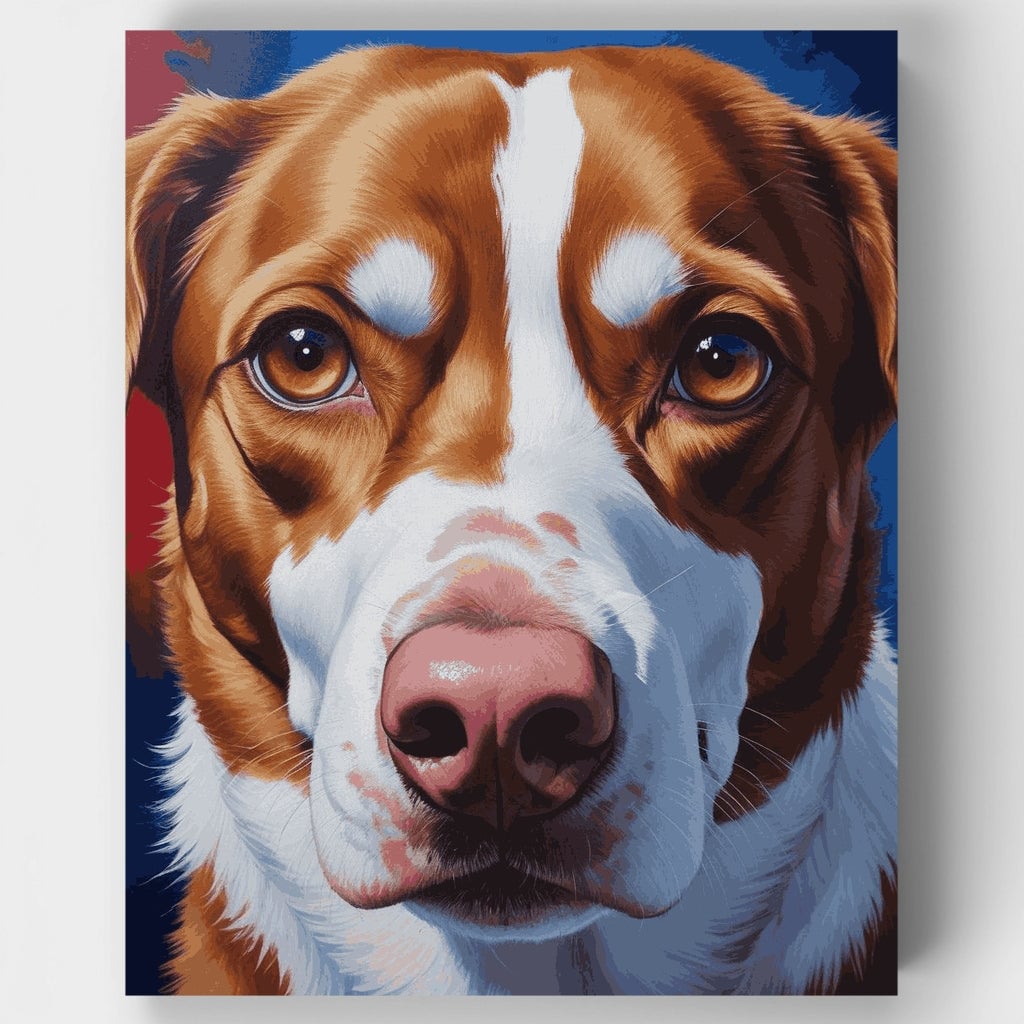 Charlie, a brown and white Spaniel