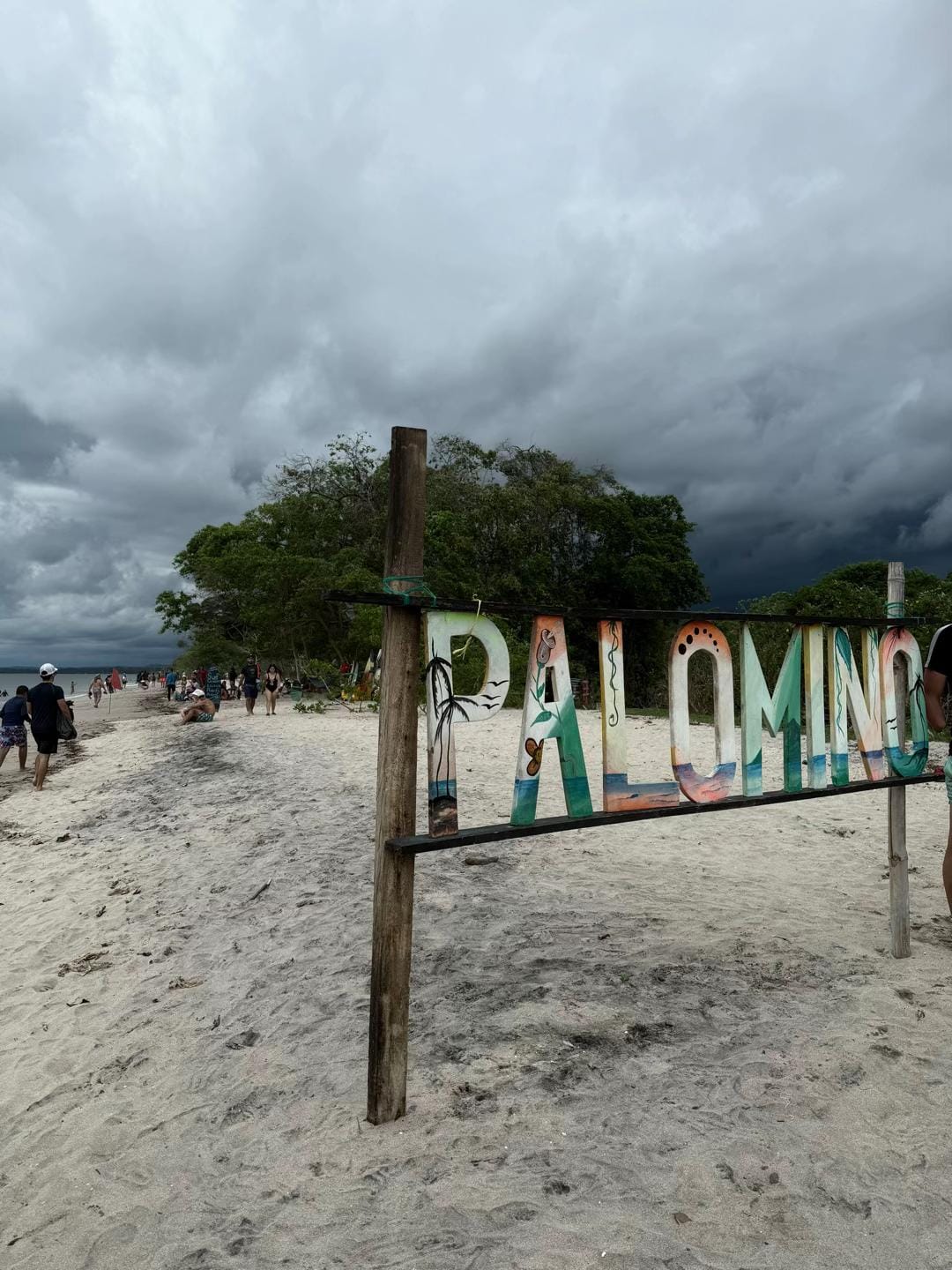 Palomino letrero