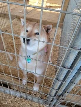 Hundreds of Thousands of Miles photo 1