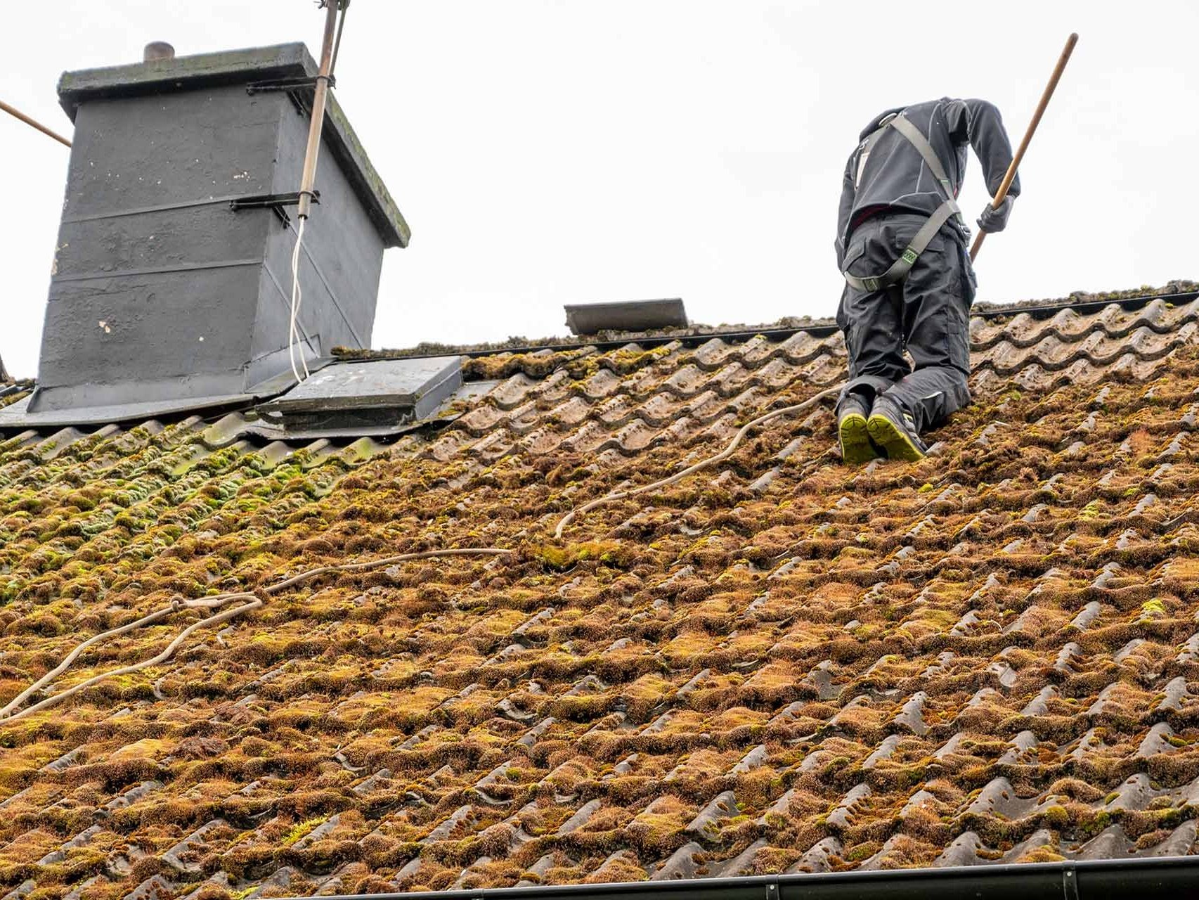 Roof Cleaning & Coating