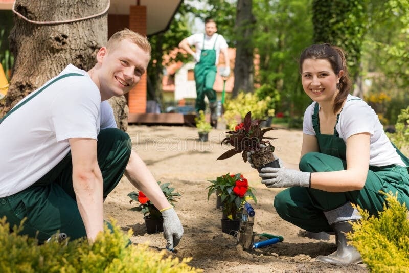 Gardeners Clapham professional team