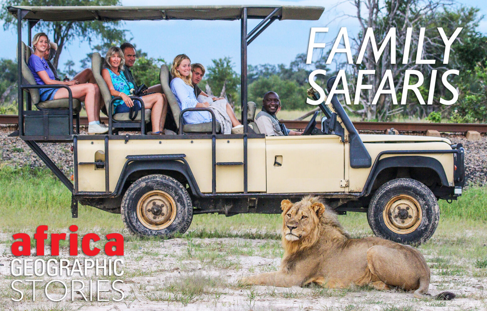 Madikwe Game Reserve — Family-Friendly Big Five