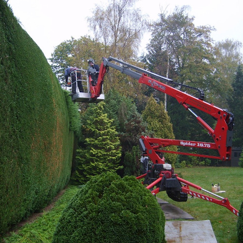 UK hedge trimming work in progress