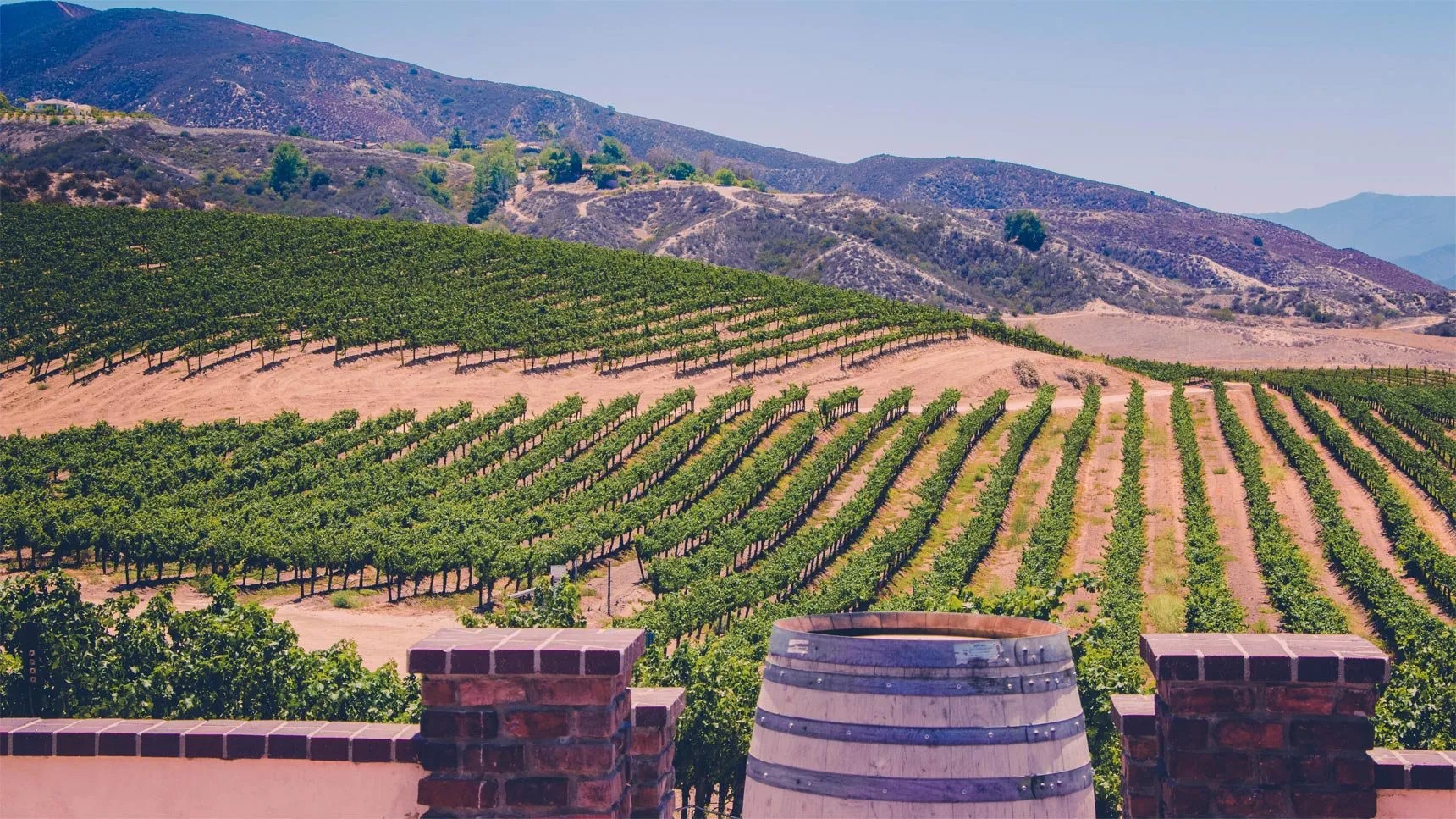 Temecula Wine Country: A World-Class Destination in Our Backyard