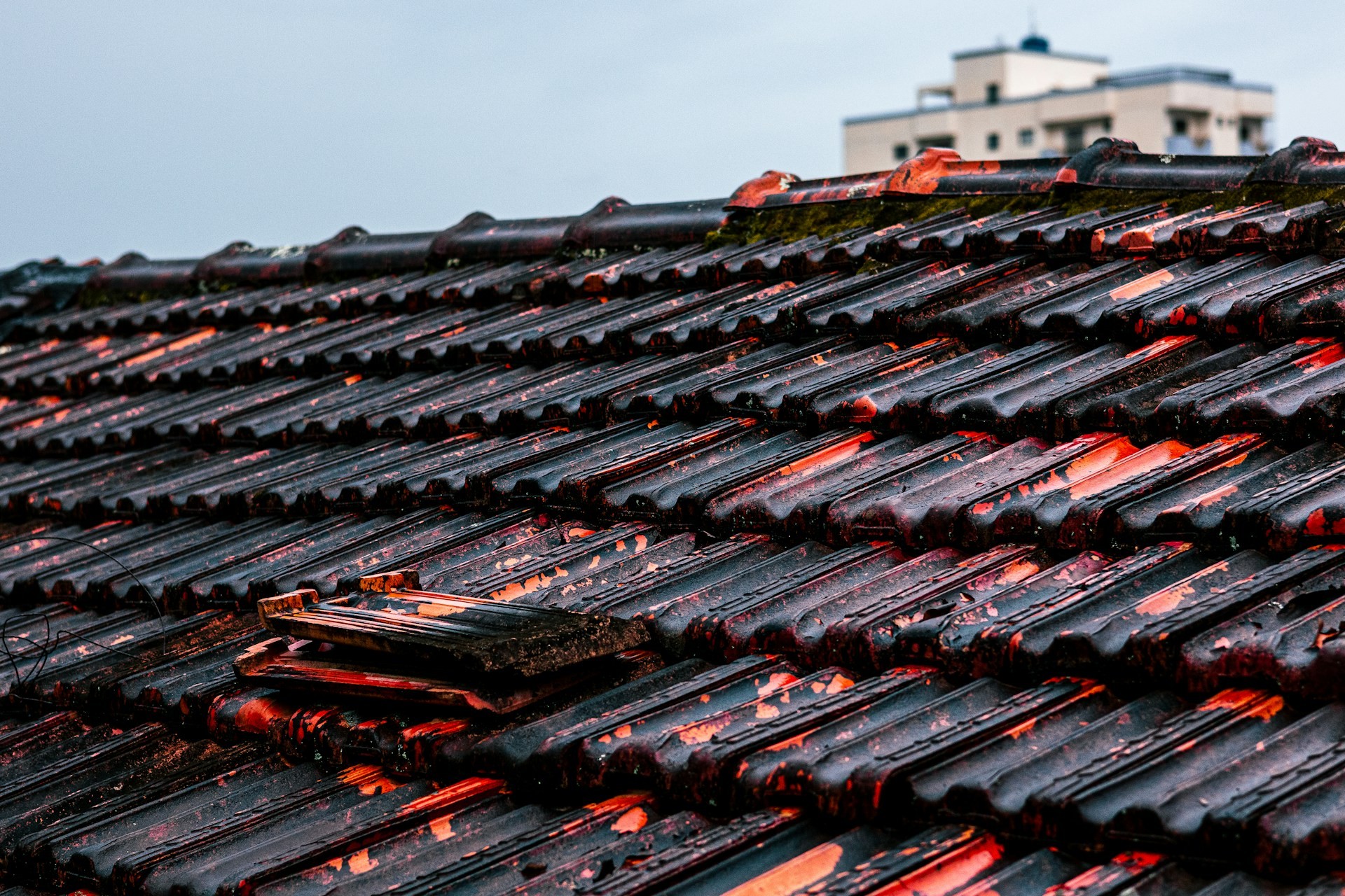 Wet tiled roof after heavy rain