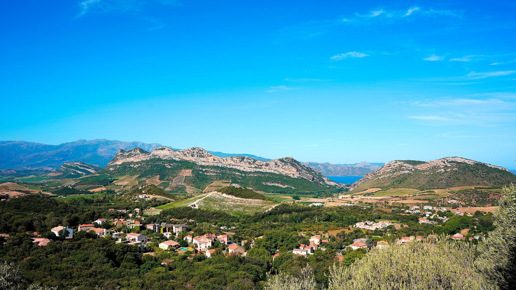 Église de Patrimonio et vignobles - Domaine Antoine Arena