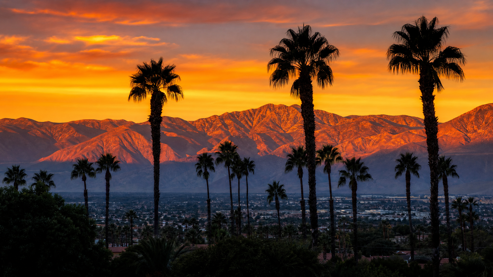Coachella Valley palm trees at golden hour with desert mountains