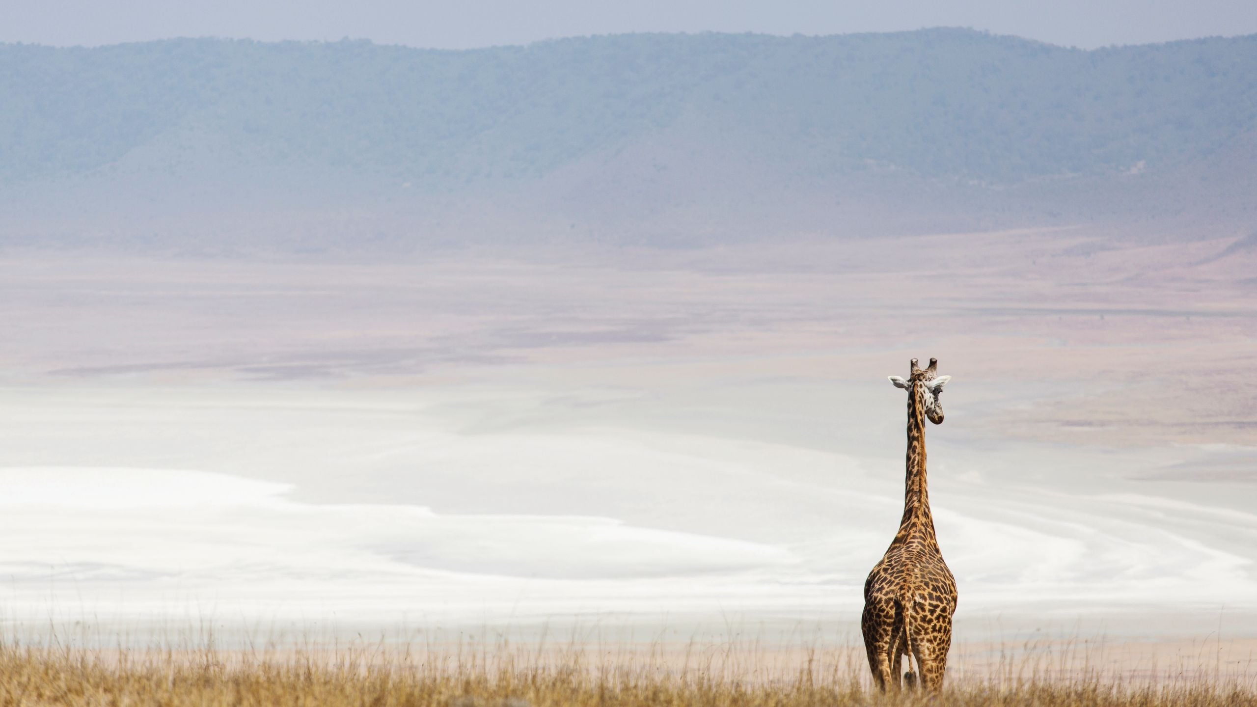 Tanzania Safari 2025–2026: Serengeti, Ngorongoro & Beyond