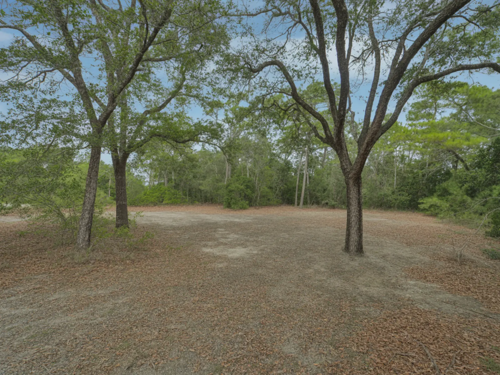 Terreno en venta en 3678 Sanctuary Hills Rd, Lake Placid, FL 33852