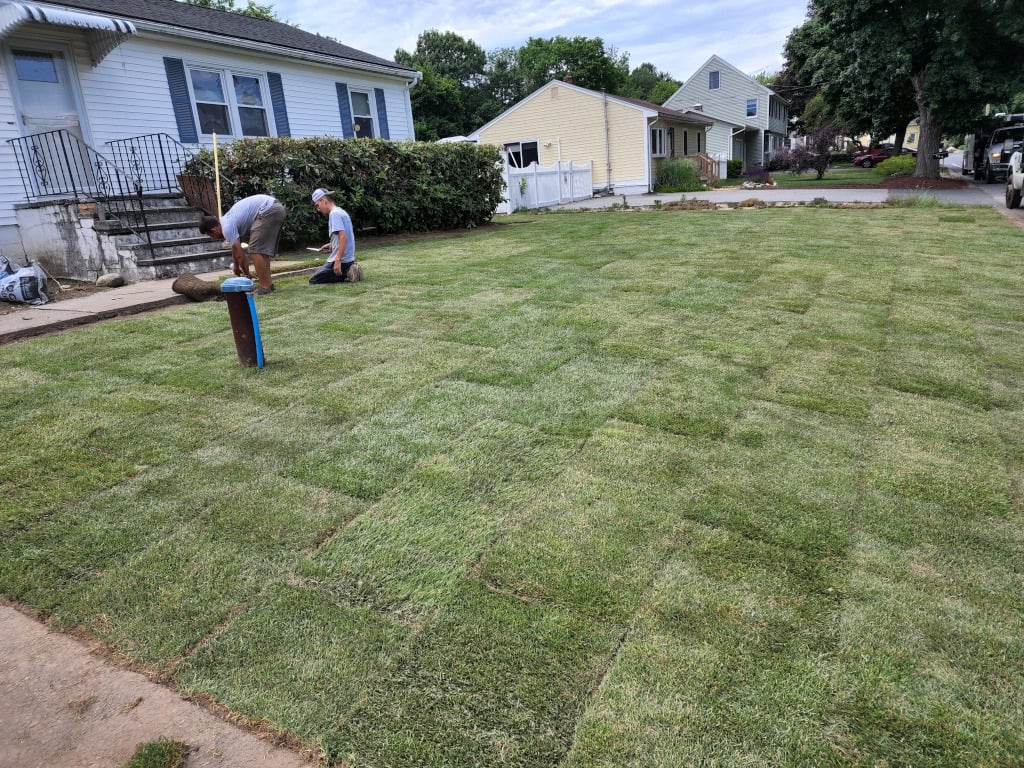 Sod Installation service in Center, TX