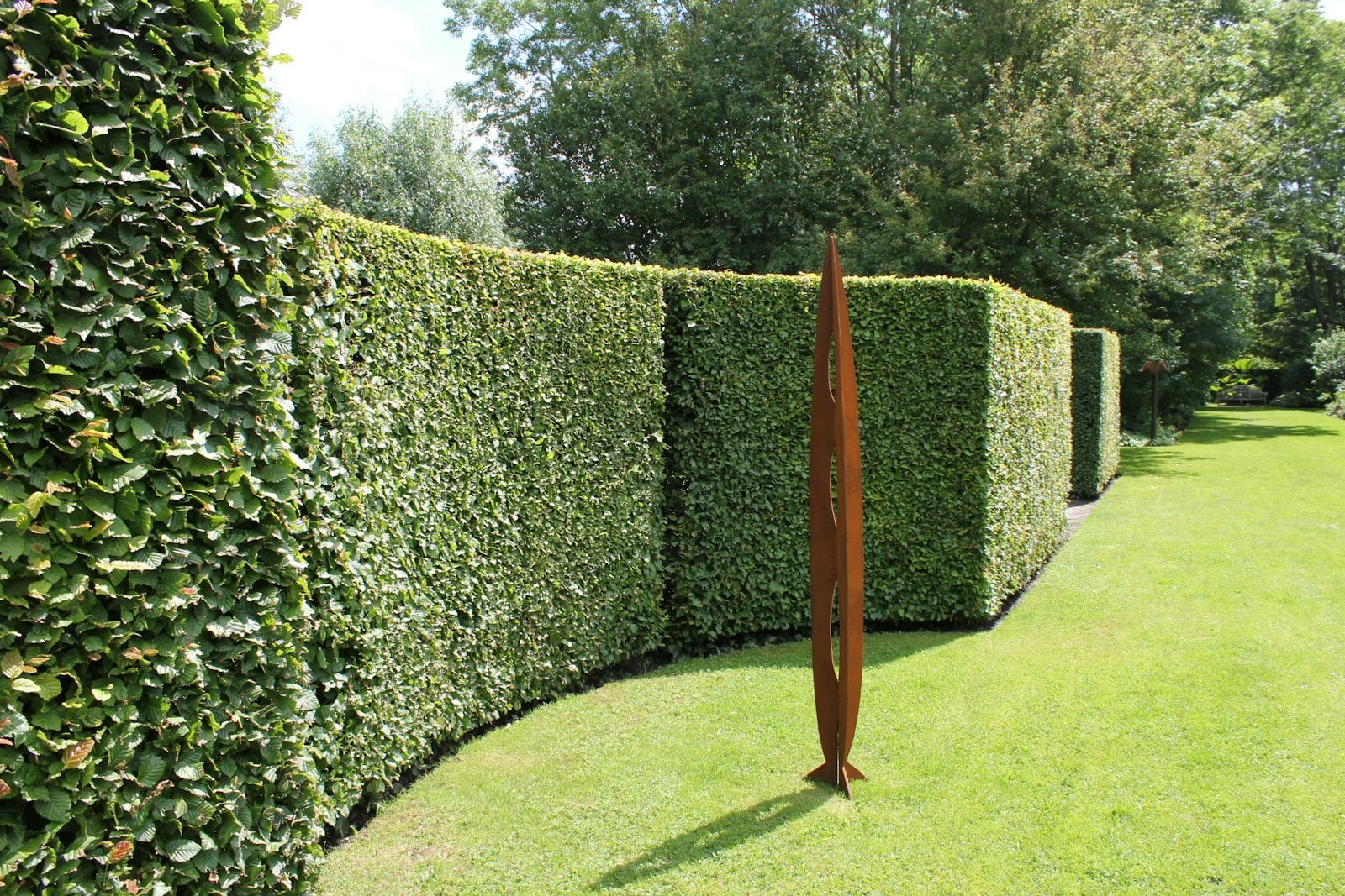 Tree & Hedge Reduction work at a Northamptonshire property – photo 4