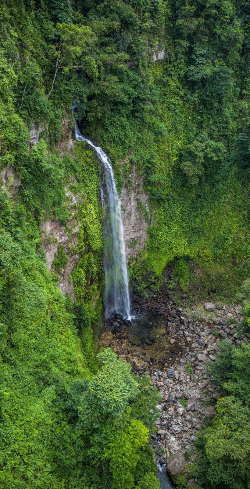 Cascada en el camino