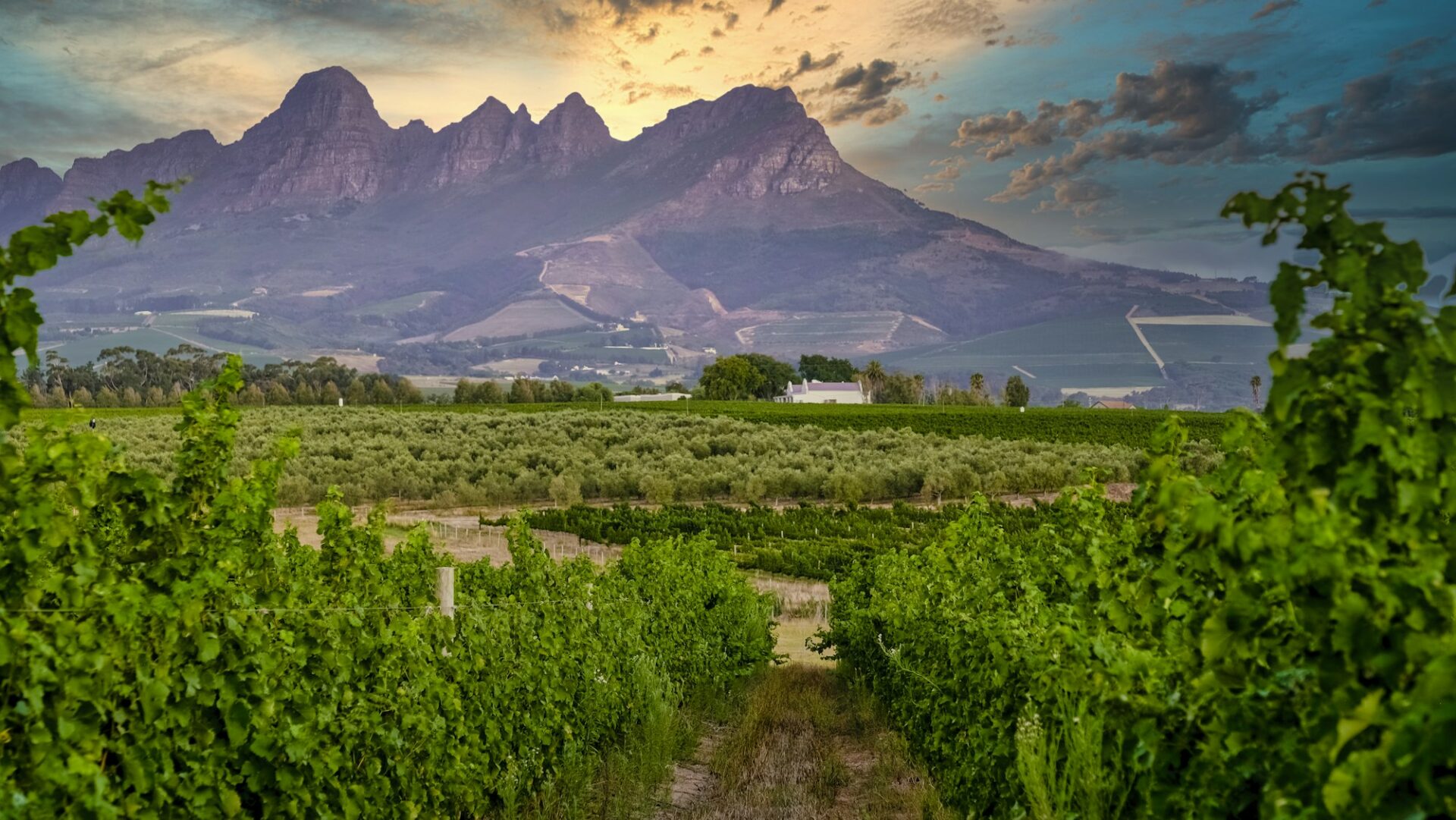 Bergvliet, Cape Town
