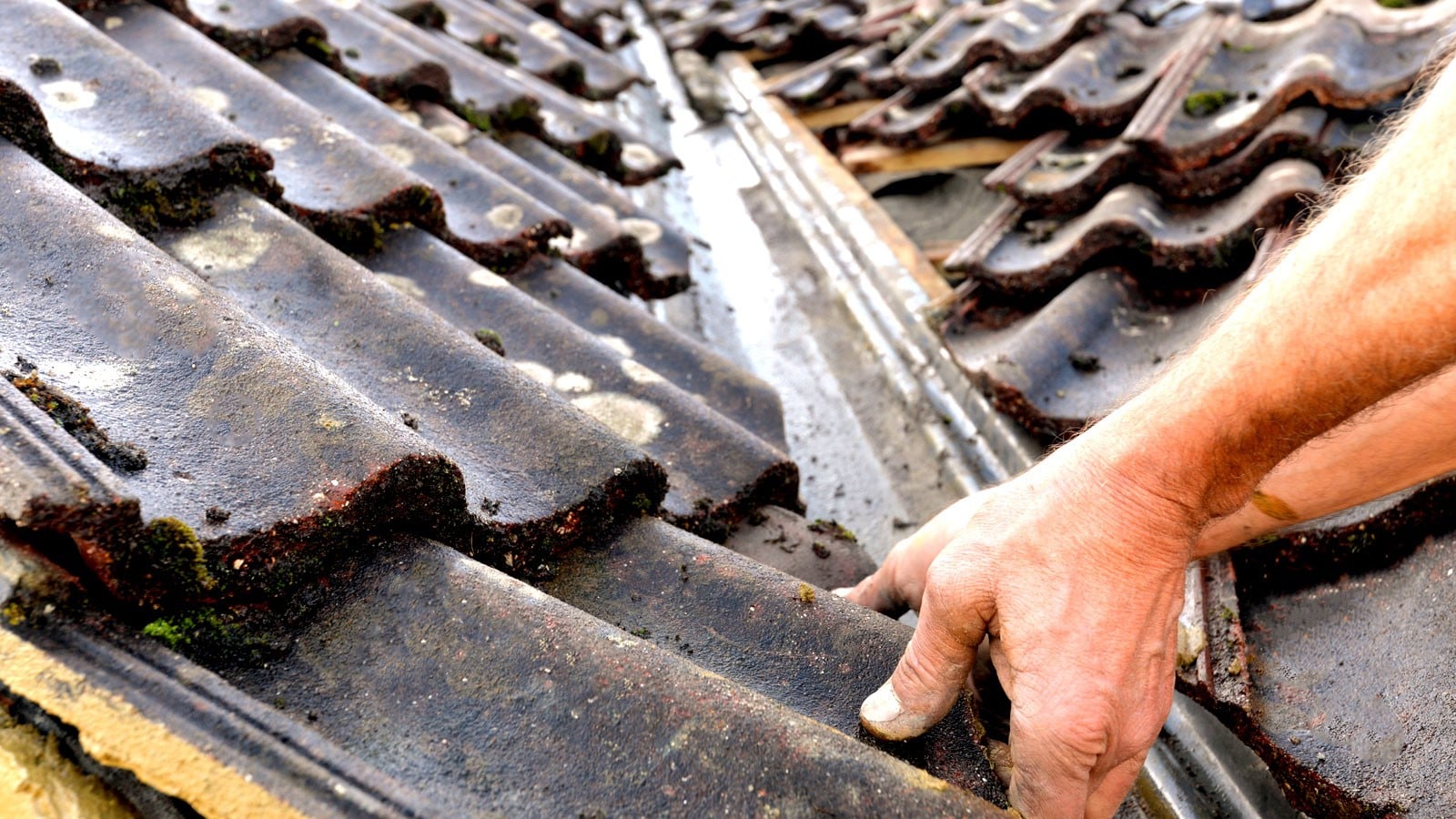 Roof Repairs on a UK home