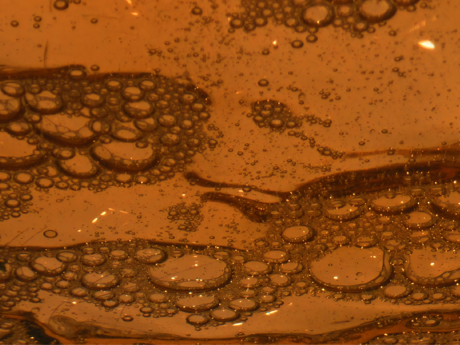 Artisan kombucha brewing at Vida Buena