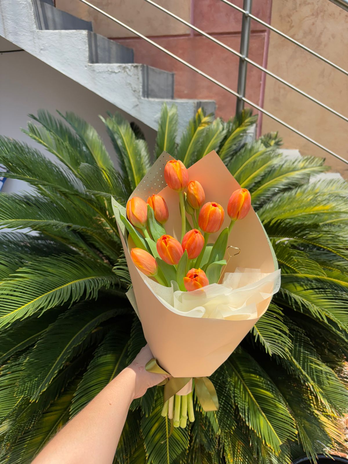 Ramo Tulipanes 10pz